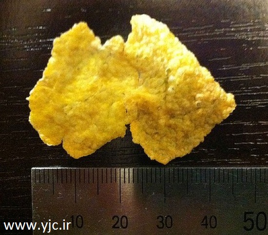 مزایده های باورنکردنی در اینترنت (+عکس)