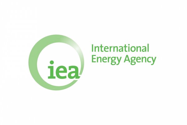 آژانس بین‌المللی انرژی: کسری نفت در سه ماهه دوم ٢٠١٩