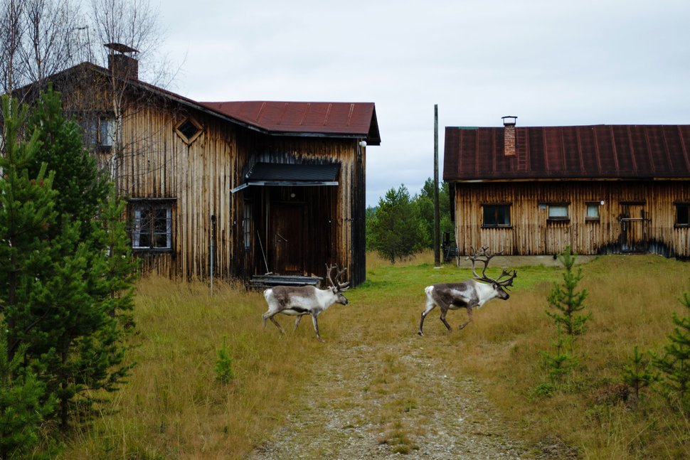 خوشبختترین کشورهای جهان در سال 2019 خوشبختترین کشورهای جهان در سال 2019