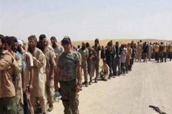 تحویل 150 داعشی به ارتش عراق توسط کردهای سوریه