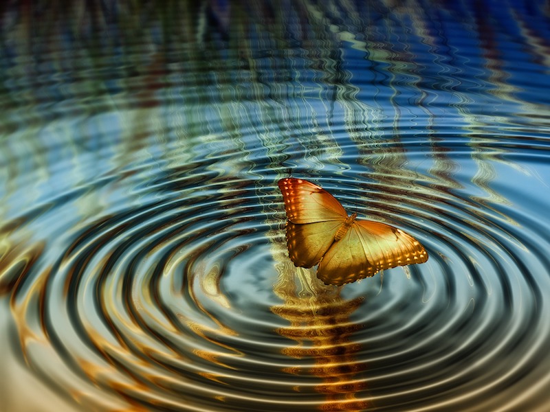 شادی یک انتخاب رایگان است