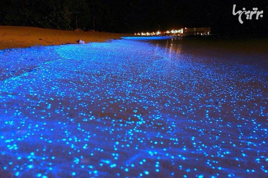 سواحل منحصر به فردی که ارزش سفر دارند (+عکس)