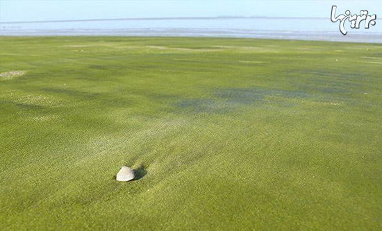 سواحل منحصر به فردی که ارزش سفر دارند (+عکس)