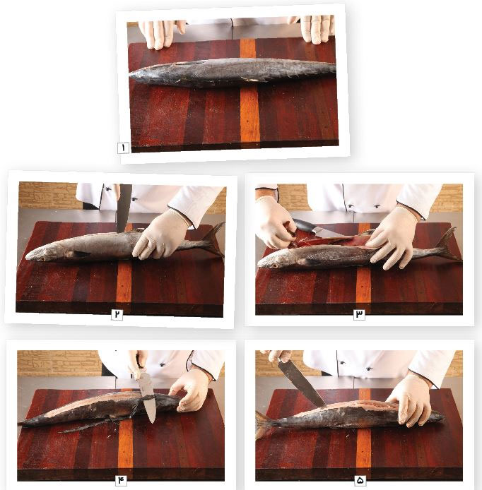 آموزش تخصصی فیله کردن ماهی شیر آموزش تخصصی فیله کردن ماهی شیر