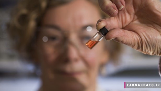 قدیمی‌ترین رنگ دنیا در فسیل یک میلیارد ساله (+عکس)