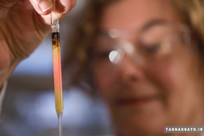 قدیمی‌ترین رنگ دنیا در فسیل یک میلیارد ساله (+عکس)