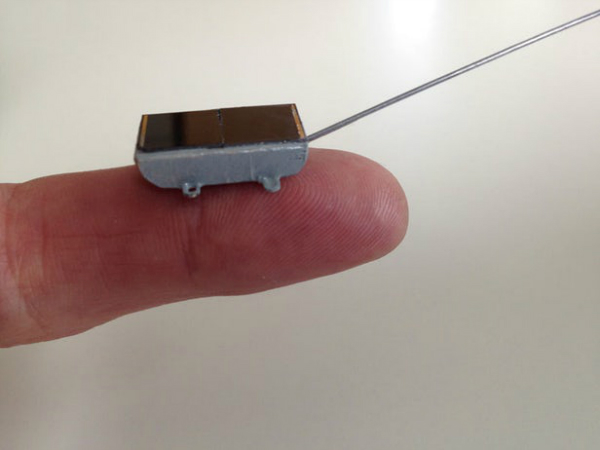 شبکه اینترنت حیوانات رهگیری آنها را تسهیل می کند