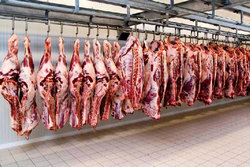 قیمت گوشت گوسفندی به 56 هزارتومان رسید/قاچاق دام در کشور