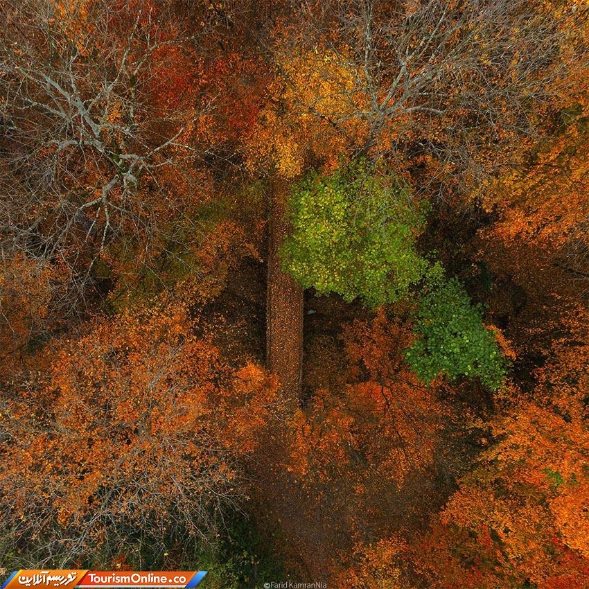 عکسی بی نظیر از پاییز گیلان