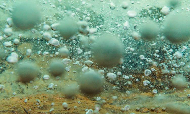 رودخانهای که به دلایلی نامعلوم میجوشد! (+عکس) رودخانهای که به دلایلی نامعلوم میجوشد! (+عکس)