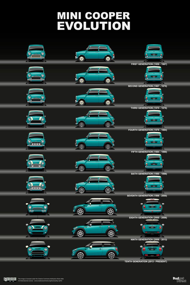 کوچک و جاودان، چالاک و نمایشی/ مینی ماندگار میماند کوچک و جاودان، چالاک و نمایشی/ مینی ماندگار میماند