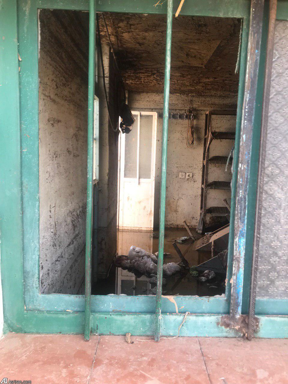 اهالی ده هنوز هم دل نکندهاند از «بابازید» سیل زده! اهالی ده هنوز هم دل نکندهاند از «بابازید» سیل زده!