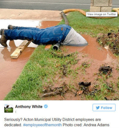 ثبت کننده پربازدیدترین تصویر در فضای مجازی حساب کاربری خود را بست