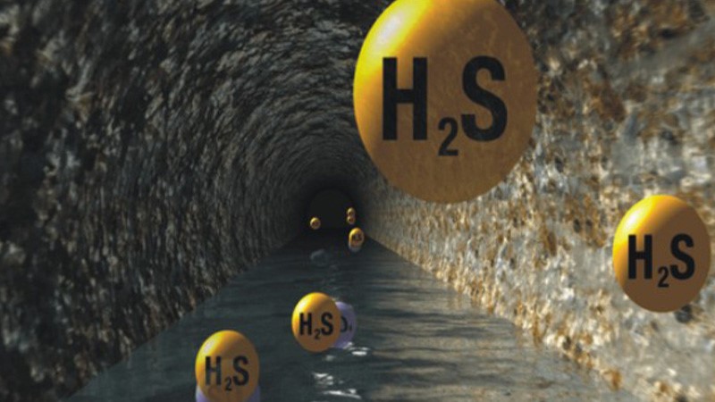 گازهای خالص چگونه گازهایی هستند؟