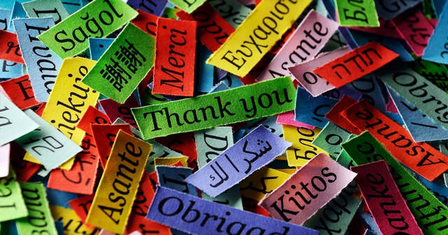 همین حالا هم برای یادگیری زبان خارجی دیر کرده اید!