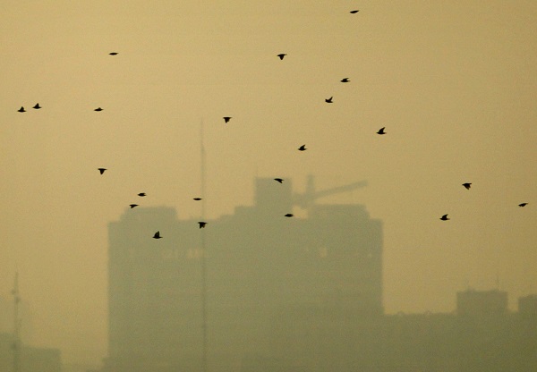 آلودگی هوا و یک راهحل مردمی آلودگی هوا و یک راهحل مردمی