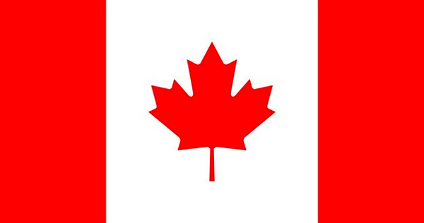 پیکر اولین کانادایی قربانی سانحه سقوط هواپیما به خانه اش رفت