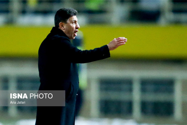 امیر قلعه‌نویی 