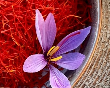 افزایش قیمت زعفران ایران به بیش از ۱۰۰۰ دلار