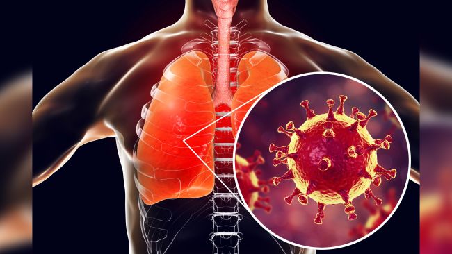 هرآنچه باید درباره کروناویروس جدید بدانید