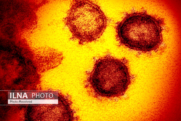 نخستین مورد ابتلا به «کرونا» در اوکراین