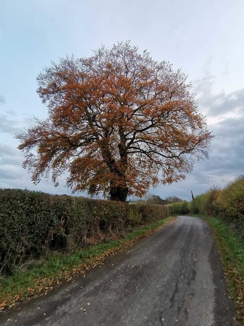 رسانههای معتبر دنیا درباره گوشی Huawei Nova 5T چه میگویند؟ رسانههای معتبر دنیا درباره گوشی Huawei Nova 5T چه میگویند؟