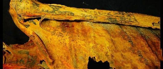 قدیمیترین تتوی تاریخ متعلق به کیست؟! (+عکس) قدیمیترین تتوی تاریخ متعلق به کیست؟! (+عکس)