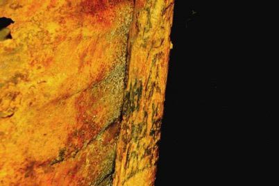 قدیمیترین تتوی تاریخ متعلق به کیست؟! (+عکس) قدیمیترین تتوی تاریخ متعلق به کیست؟! (+عکس)