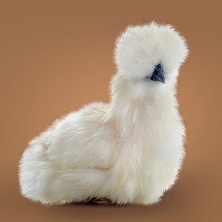 حقایقی جالب که جهان را از زاویه‌ای متفاوت نشان می‌دهند (+عکس)