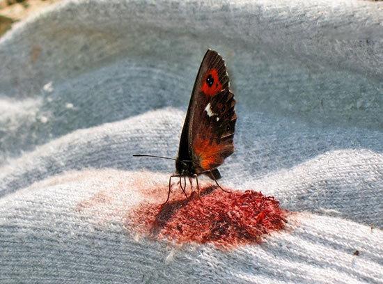 حقایقی جالب که جهان را از زاویه‌ای متفاوت نشان می‌دهند (+عکس)