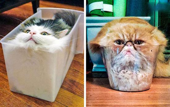 حقایقی جالب که جهان را از زاویه‌ای متفاوت نشان می‌دهند (+عکس)