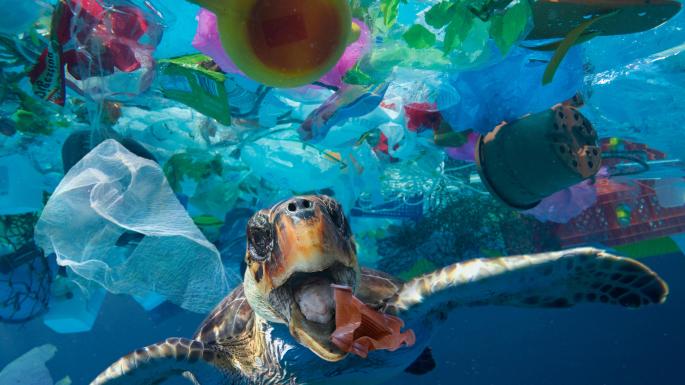 کانادا: یکبار مصرف‌های پلاستیکی 