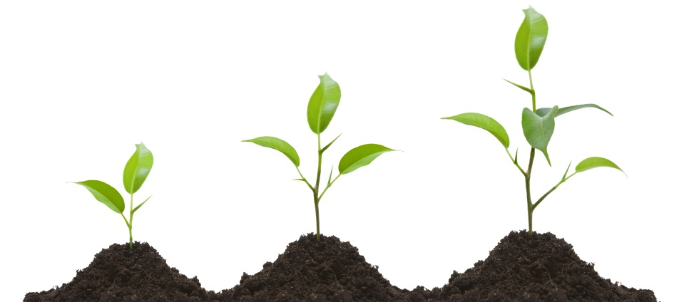 رپورتاژ خبری یا رپورتاژ آگهی چیست؟ رپورتاژ خبری یا رپورتاژ آگهی چیست؟