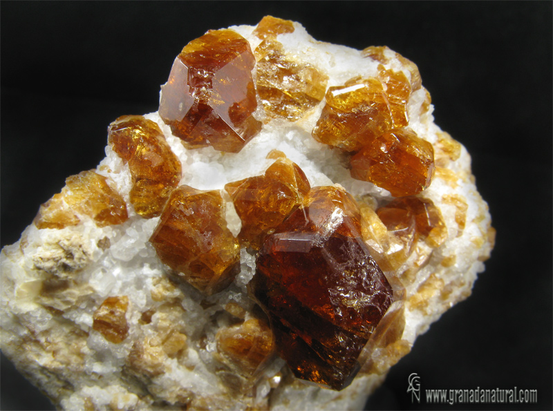 معمای خرده شیشه‌های زرد در بیابان مصر (+عکس)