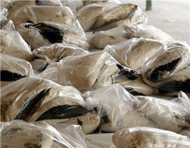 دستگیری سوداگر مرگ در اتوبان تهران-قم