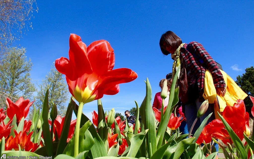 برترین اقتصادهای جهان در جذب برترین اقتصادهای جهان در جذب