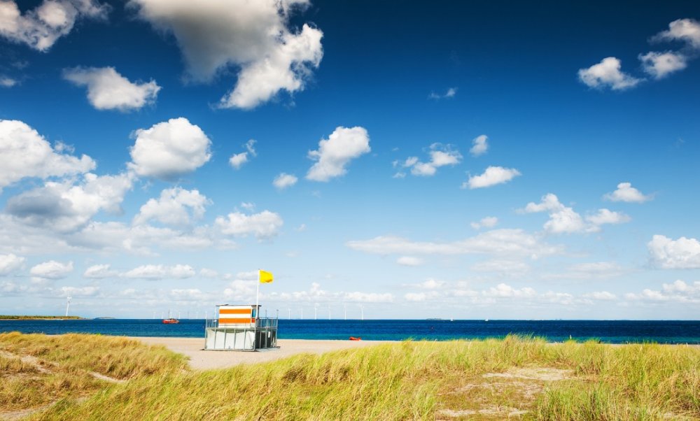 گرمای هلند 400 نفر را کشت گرمای هلند 400 نفر را کشت