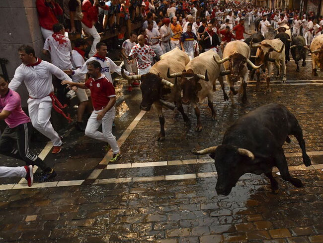 قتل عامهای سنتی حیوانات در جهان (+عکس) قتل عامهای سنتی حیوانات در جهان (+عکس)