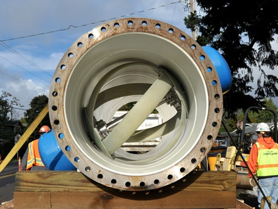 ماجرای الهام‌بخش افرادی که به خاطر محیط زیست جنگیدند (+عکس)