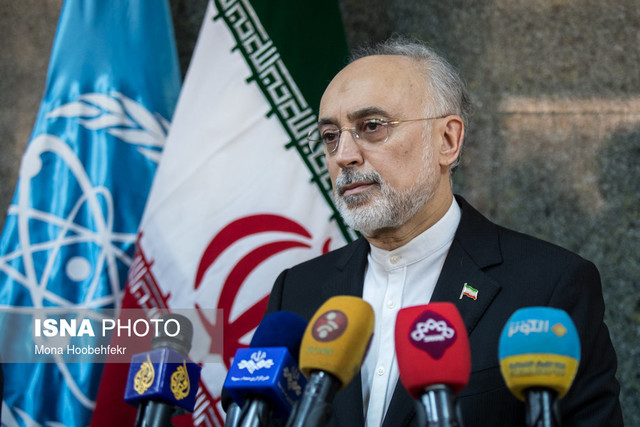 رییس سازمان انرژی اتمی:  روسای جمهور ایران و فرانسه برای حفظ برجام در تلاش هستند