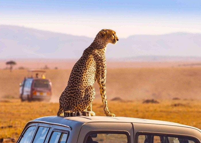 چطور یک برنامه سفر تابستانی ارزان قیمت بچینیم؟ چطور یک برنامه سفر تابستانی ارزان قیمت بچینیم؟