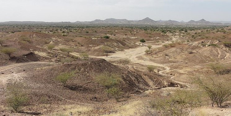 کشف فسیل 100 میلیون ساله گروهی از دایناسورها (+عکس) کشف فسیل 100 میلیون ساله گروهی از دایناسورها (+عکس)