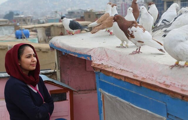 فیلم تهیه‌کننده ایرانی نماینده افغانستان در اسکار