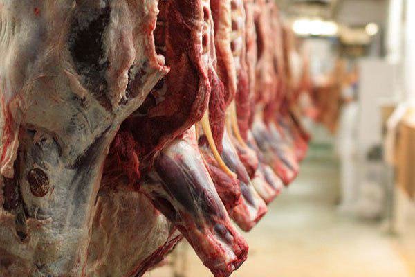 ادامه کاهش قیمت گوشت قرمز (+ قیمت‌ها)