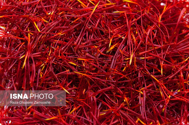 دستگیری ۱۲ قاچاقچی با ۴۳۸ کیلوگرم زعفران تفلبی در مشهد