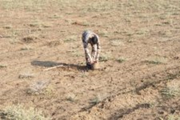 الحشد الشعبی: 100 بمب را در کرکوک عراق خنثی کردیم الحشد الشعبی: 100 بمب را در کرکوک عراق خنثی کردیم