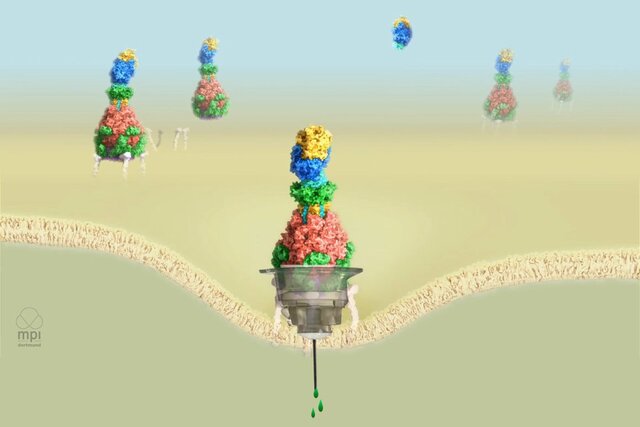 درمان جدید سرطان 