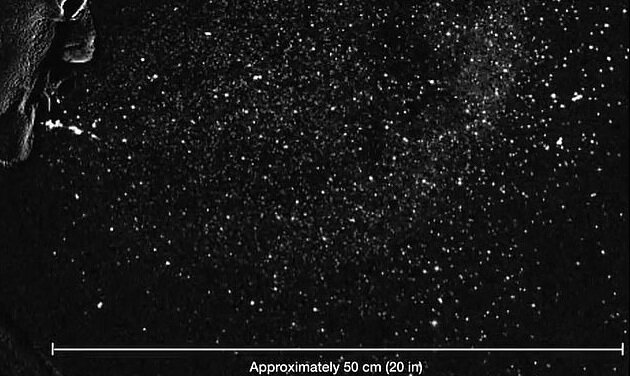 تحقیقات جدید: از افراد مبتلا به کرونا ۸ متر فاصله بگیرید تحقیقات جدید: از افراد مبتلا به کرونا ۸ متر فاصله بگیرید