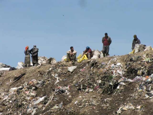 333 مورد اخطار زیست محیطی در استان اردبیل