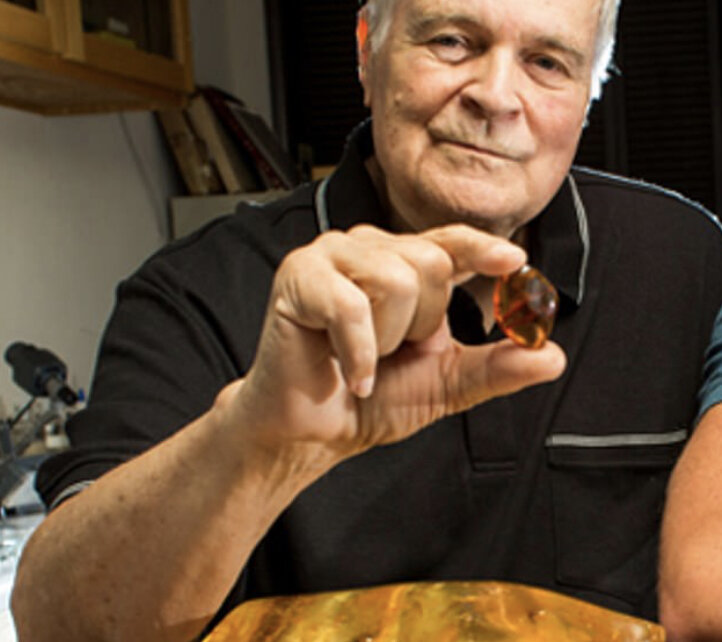 کشف یک گل 100میلیون ساله (+عکس) ژورنال تحقیقات گیاه شناسی انستیتو تگزاس